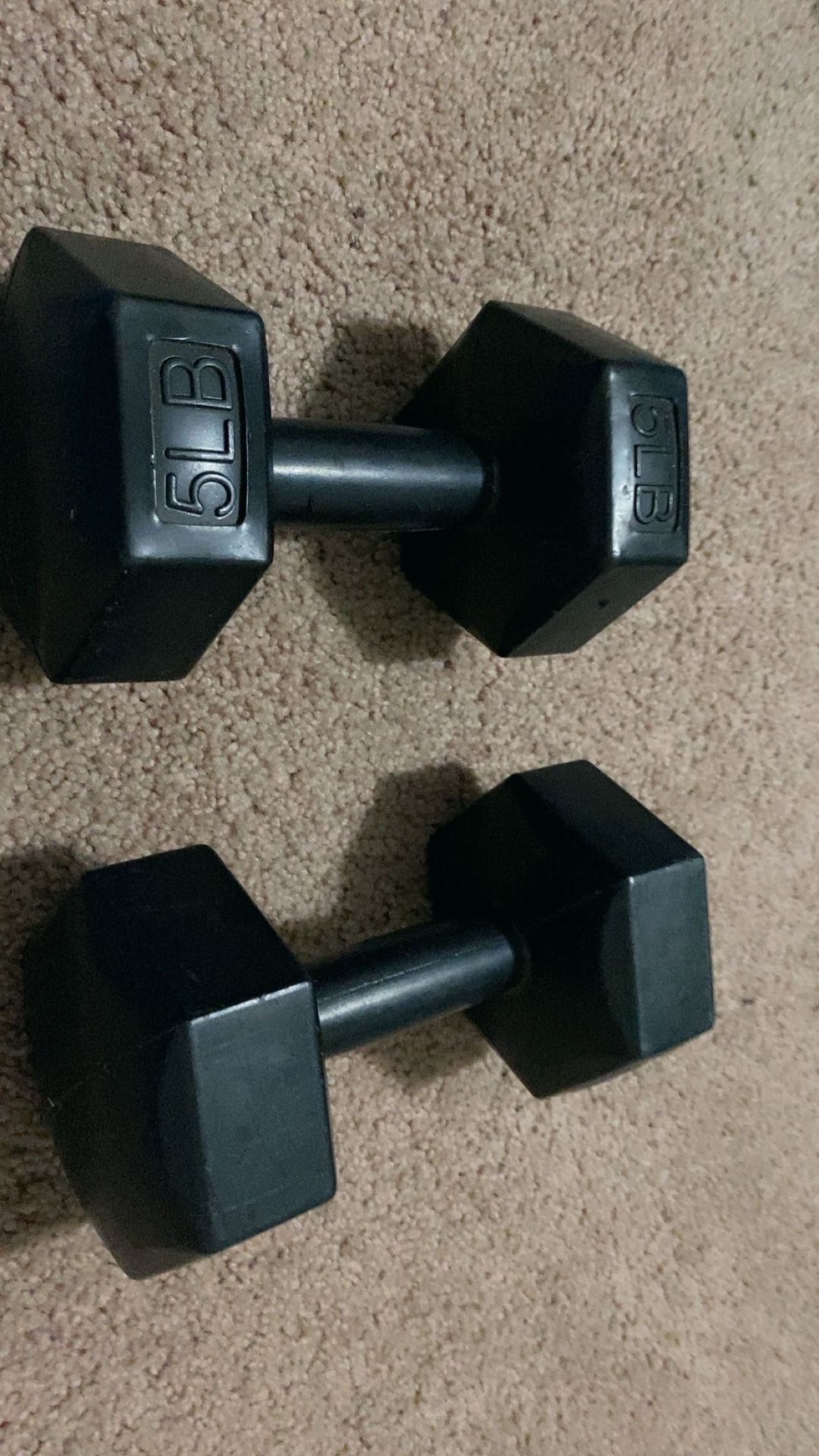 5 Lb Weights 