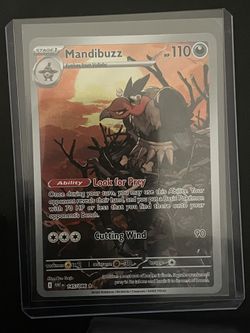 Pokemon Mandibuzz IR