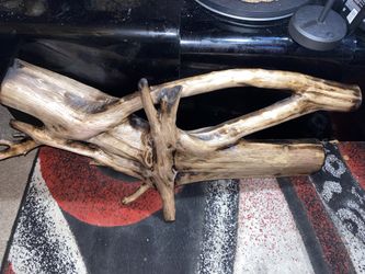 Drift Wood With Light 