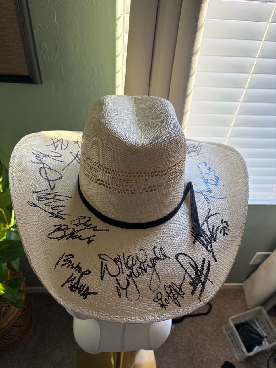 Cowboy Visual Autographed AEW STAR COWBOY HAT for Sale in Las Vegas, NV - OfferUp