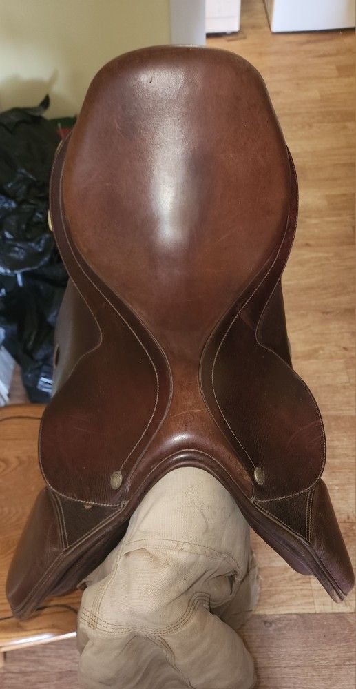 Collegaite Saddle