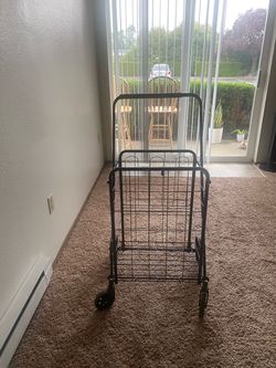 Shopping cart to carry items