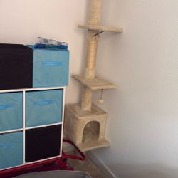 Cat Tower