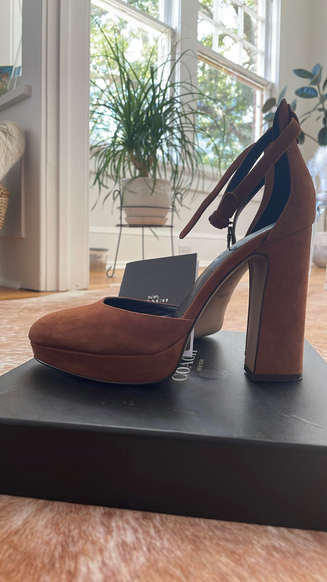 Coach Brown Suede Block Heel