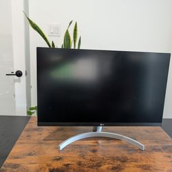 24 Inch Monitor 