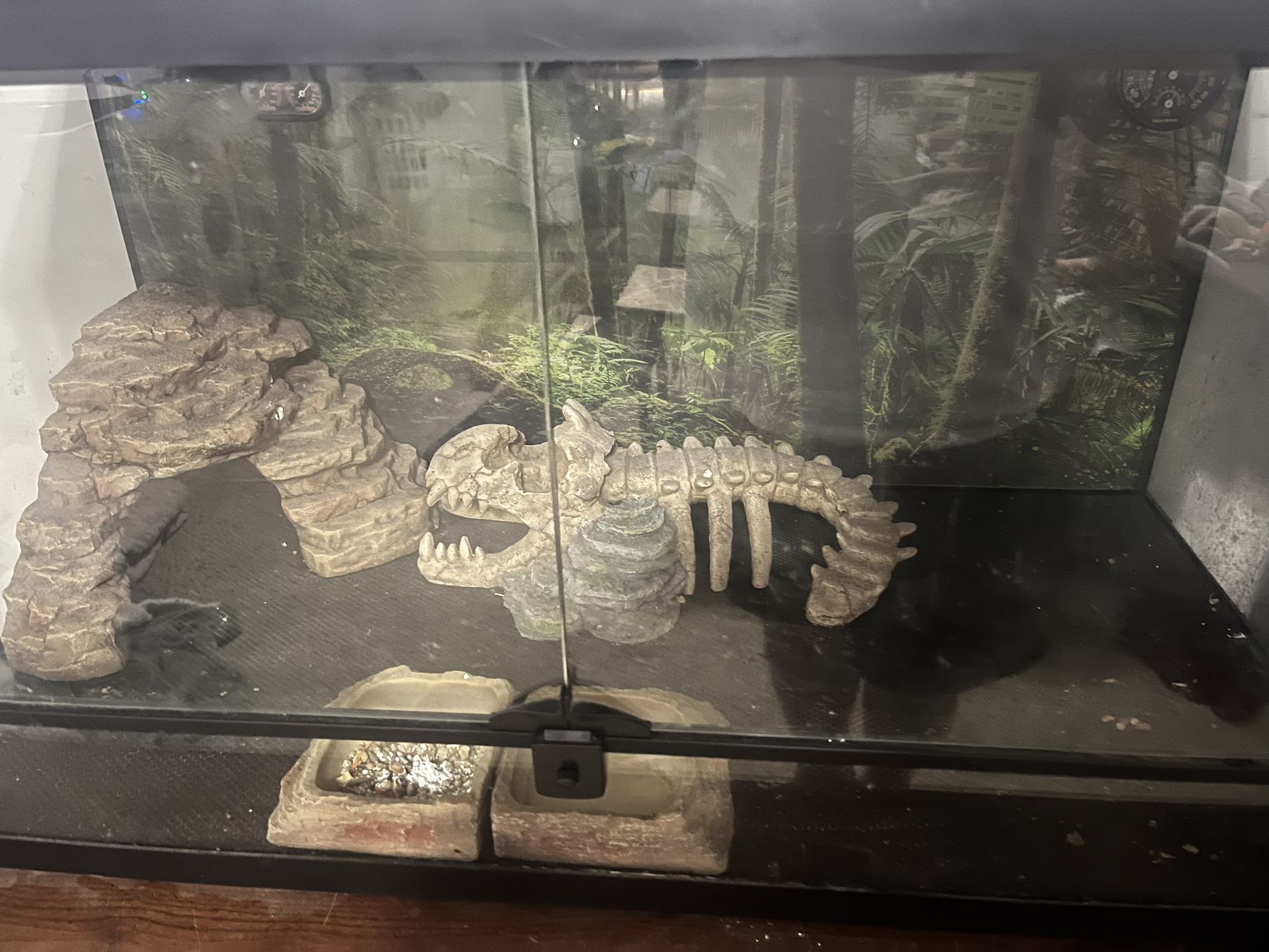 Reptile Terrarium