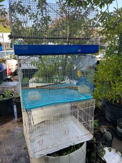 Jaulas para perico y periquitos