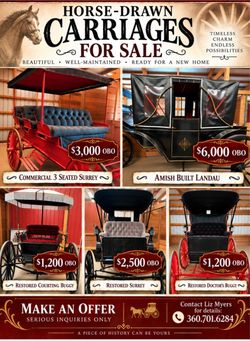 Carriages for sale
