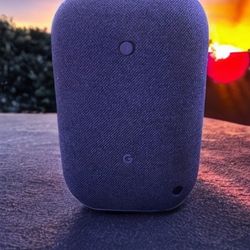 Google Nest Speaker