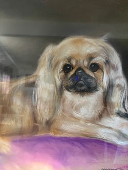 Dog painting