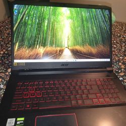 Acer Nitro 5