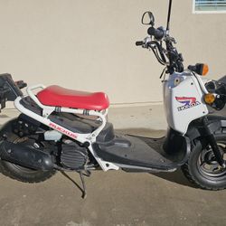 2012 Honda Ruckus