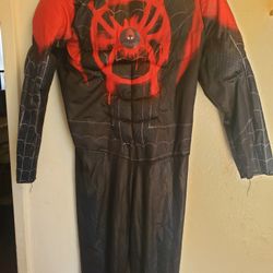 2 Spider-Man Costumes 