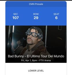 Bad Bunny Concert 1 Day!!! Lower Level