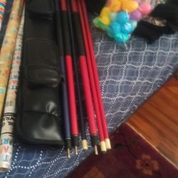 Pool Sticks W Case 