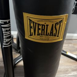 Everlast Punching Bag And Stand