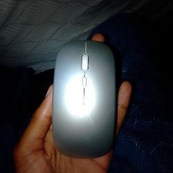 Mouse 