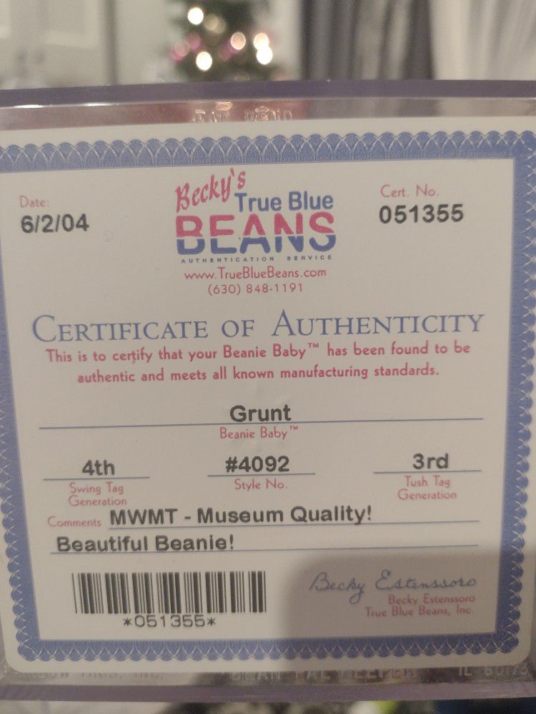 Grunt The Razorback Authenticated & Encapsulated Original Beanie Baby!!! Museum Quality 