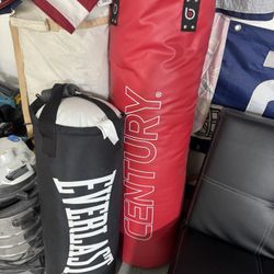 punching bags both for $100 firm 
