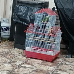 Bird Cage
