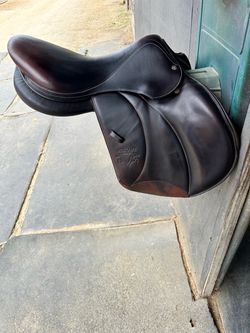 Voltaire Palm Beach 18”