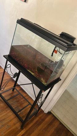 Fish tank