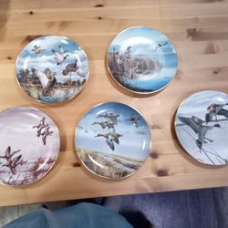 David Mass duck plates
