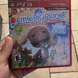 Little Big Planet PS3 (Empty Case)