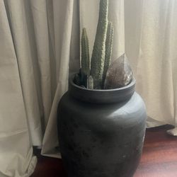 Large Cacti / Plant /tree Planter Pot Oyster Urn Vase  With Giant Crystals And Cactus 