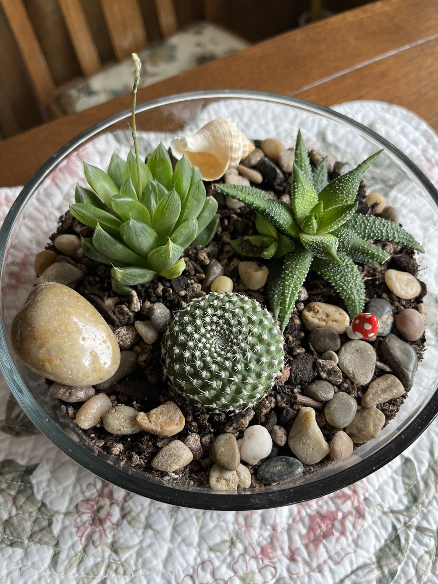 Handmade Cactus Succulent Terrarium