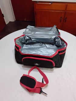 Insulated carry case with 2 compartments and shoulder strap