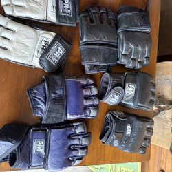 MMA Gloves 