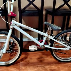 20" Custom Cruiser BMX Bike