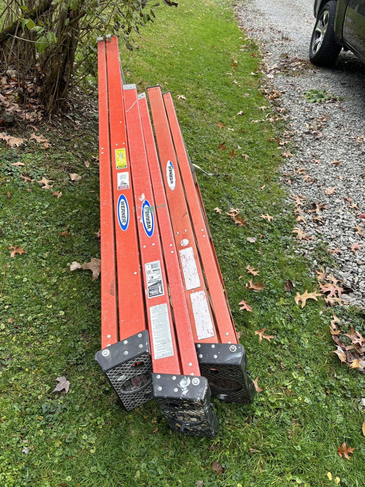 Werner Ladders