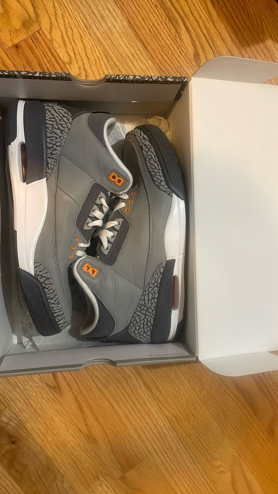 Jordan 3s Cool Gray
