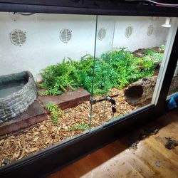 Reptile Enclosure 