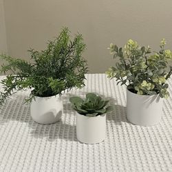 Lot of 3 artificial succulent potted plants