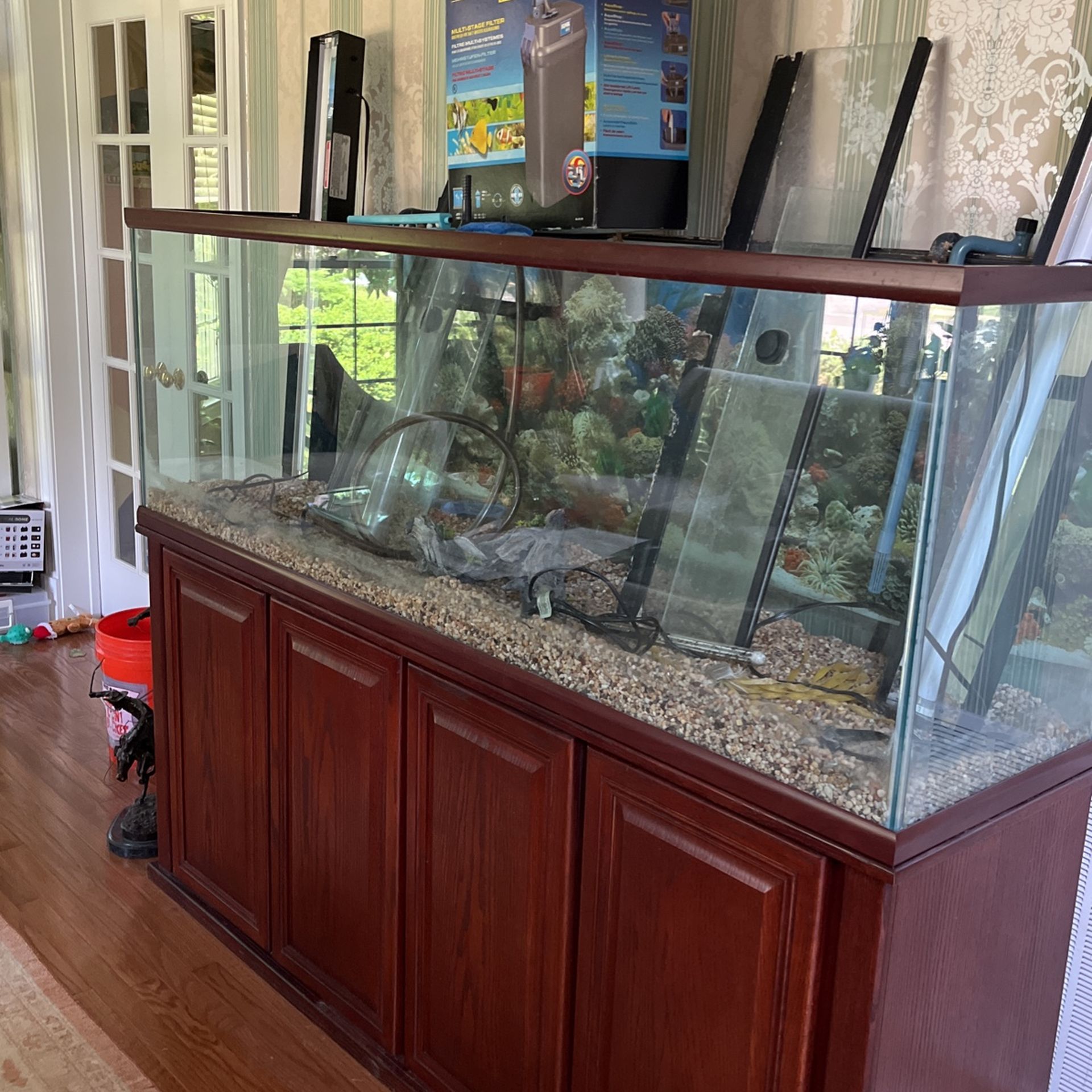 150 Gallon Fish Tank!!