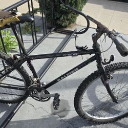 26 mountain Raleigh M20 single speed stops holds air and pedals 