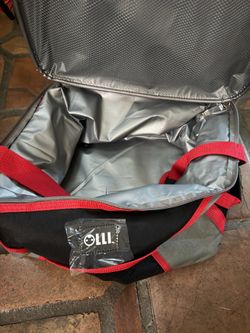 Folding ice chest