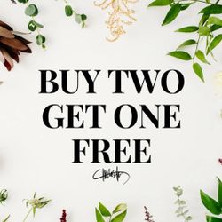 Everything posted  buy 2 get 1 free all week