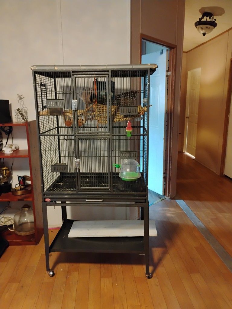 Huge Bird Cage