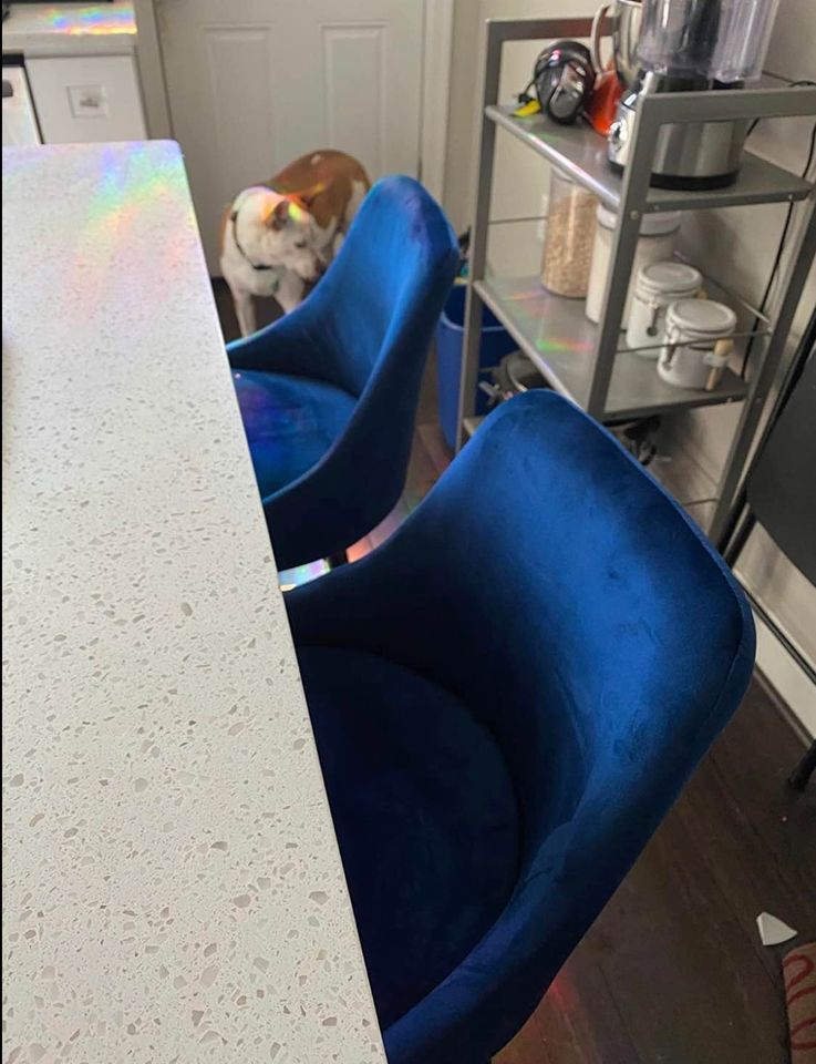 Velvet Blue Set Of Two