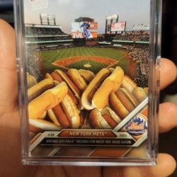 Citi Field Hot Dog Record New York Mets 