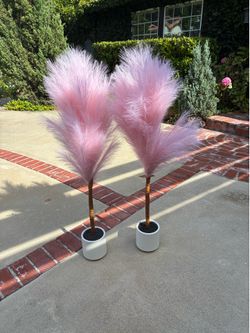 2 Pink Decorative Pampas Bush