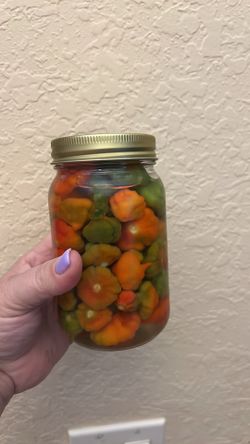 Aji Cachucha Encurtido