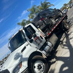 Automotive Transport