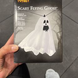Scary Flying Ghost