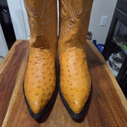 BOTAS DE PIEL DE AVESTRUZ 💯% ORIGINALES PARA HOMBRE EN NUEVAS CONDICIONES.  