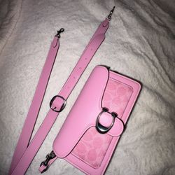 pink authentic tabby 